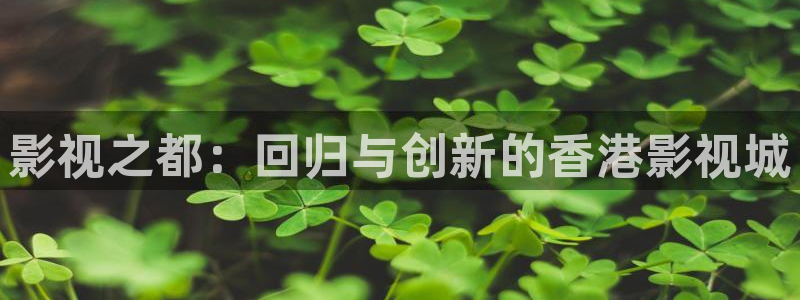 九七电影网家庭影院：影视之都：回归与创新的香港影视城