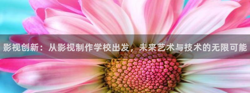 九七影院在线：影视创新：从影视制作学校出发，未来艺术与技术的无限可能