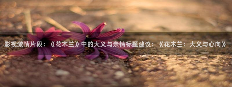 九七电影.：影视激情片段：《花木兰》中的大义与亲情标题建议：《花木兰：大义与心向》