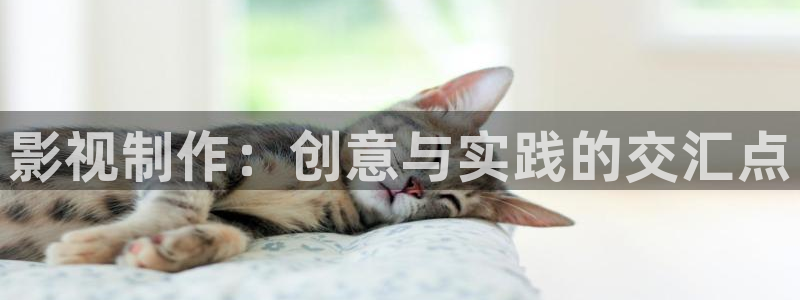 九七电影院院手机版：影视制作：创意与实践的交汇点