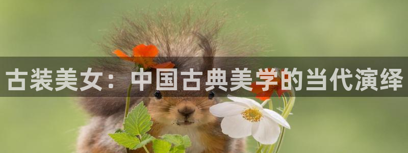 九七影院微信：古装美女：中国古典美学的当代演绎