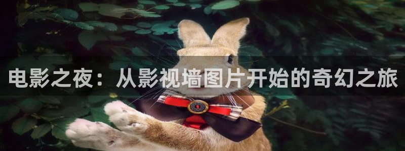 九七影院第一页：电影之夜：从影视墙图片开始的奇幻之旅