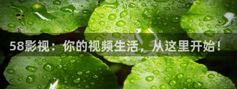 九七理论电影：58影视：你的视频生活，从这里开始！
